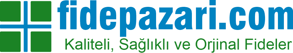 Fide Pazarı